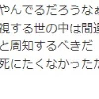 軽自動車では無ければ助かったのでは？という声も