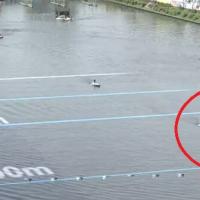 2コースのイン屋と抵抗した1コースは深イン状態になって