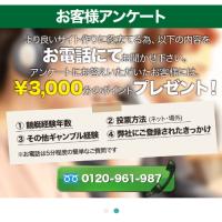 「激船」では電話アンケートの協力が求められる