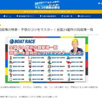 攻略情報が掲載されたページ