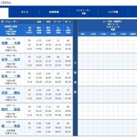 デビュー戦の出走表