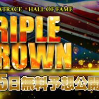 新しく発見した「トリプルクラウン」