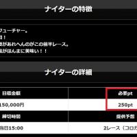 詳細を開くと料金が250ptという表記に