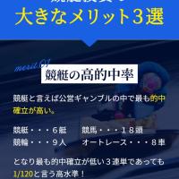 最上部には競艇投資のメリットが書かれていた