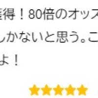 舟ビジョンは無料予想でも稼げる？