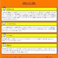 実名のような名前で公開されている嘘のユーザーの声