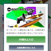 20歳以上かどうかを問われる画面が表示される