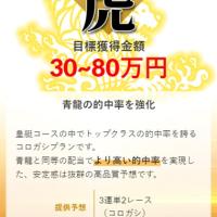 白虎は的中率重視で安定感に定評があるプラン
