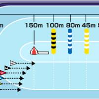 進入固定レース