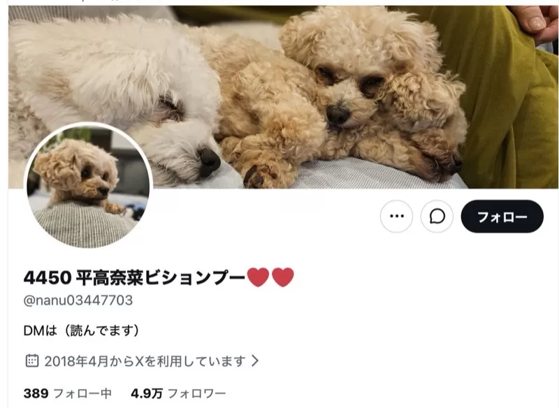 平高奈のTwitter（X）