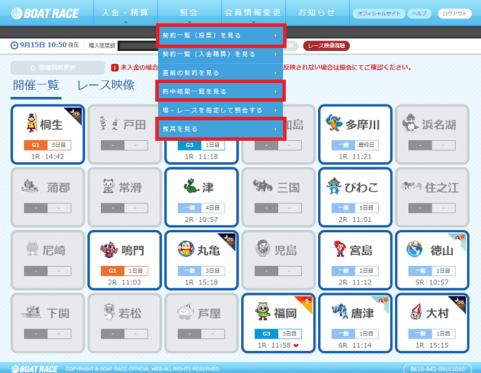 投票や結果、残高の照会方法